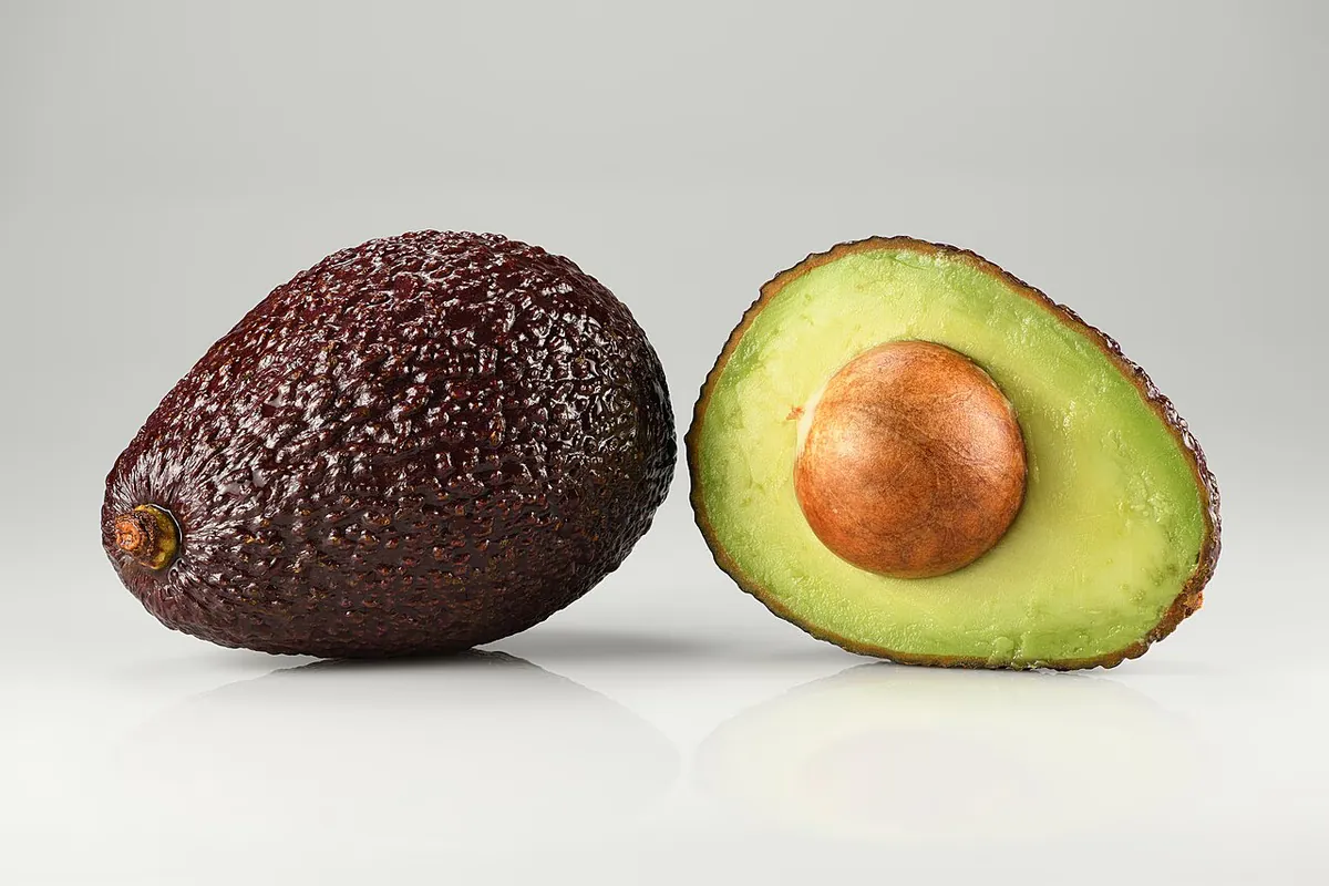 Das Geheimnis der Avocado: Zweimal täglicher Geschlechtswechsel entschlüsselt