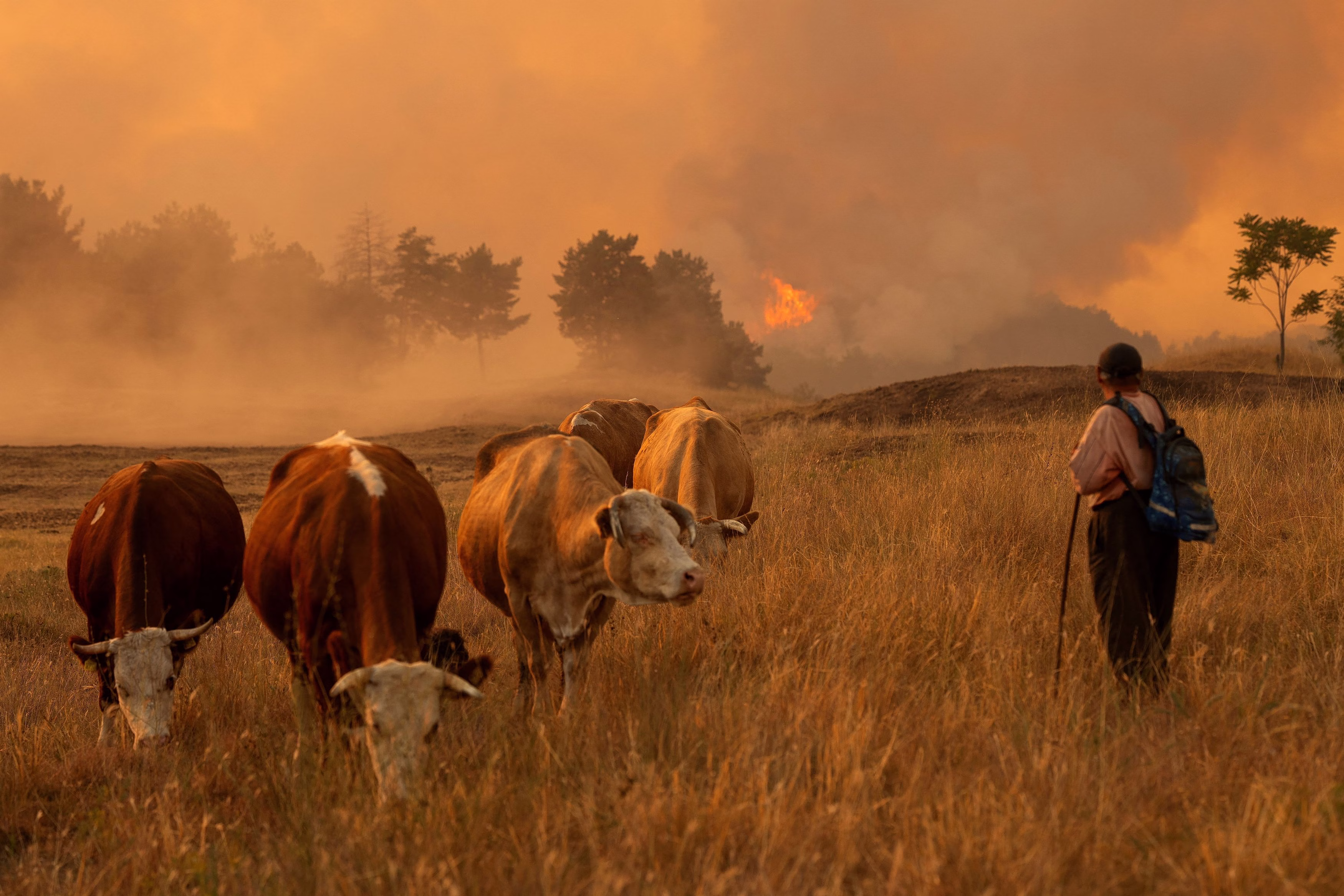 EU entsendet Hubschrauber und Feuerwehrkräfte zur Bekämpfung eines großen Waldbrandes in Serbien