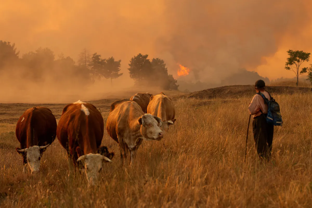 EU entsendet Hubschrauber und Feuerwehrkräfte zur Bekämpfung eines großen Waldbrandes in Serbien