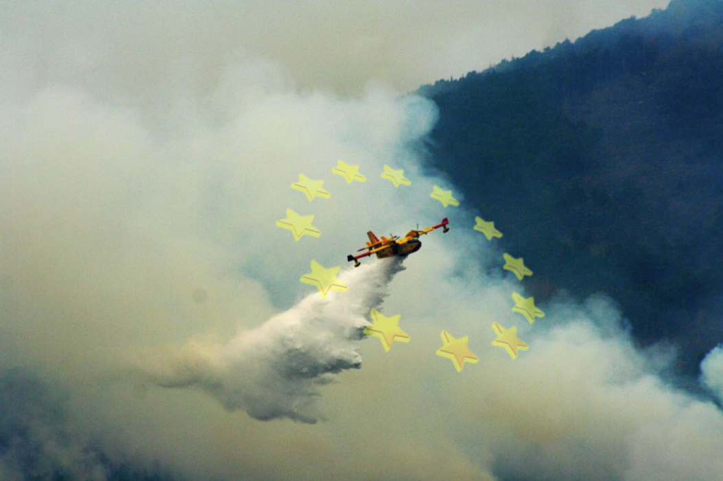 Europas Kampf gegen Waldbrände: Eine Bewertung der EU-Kapazitäten