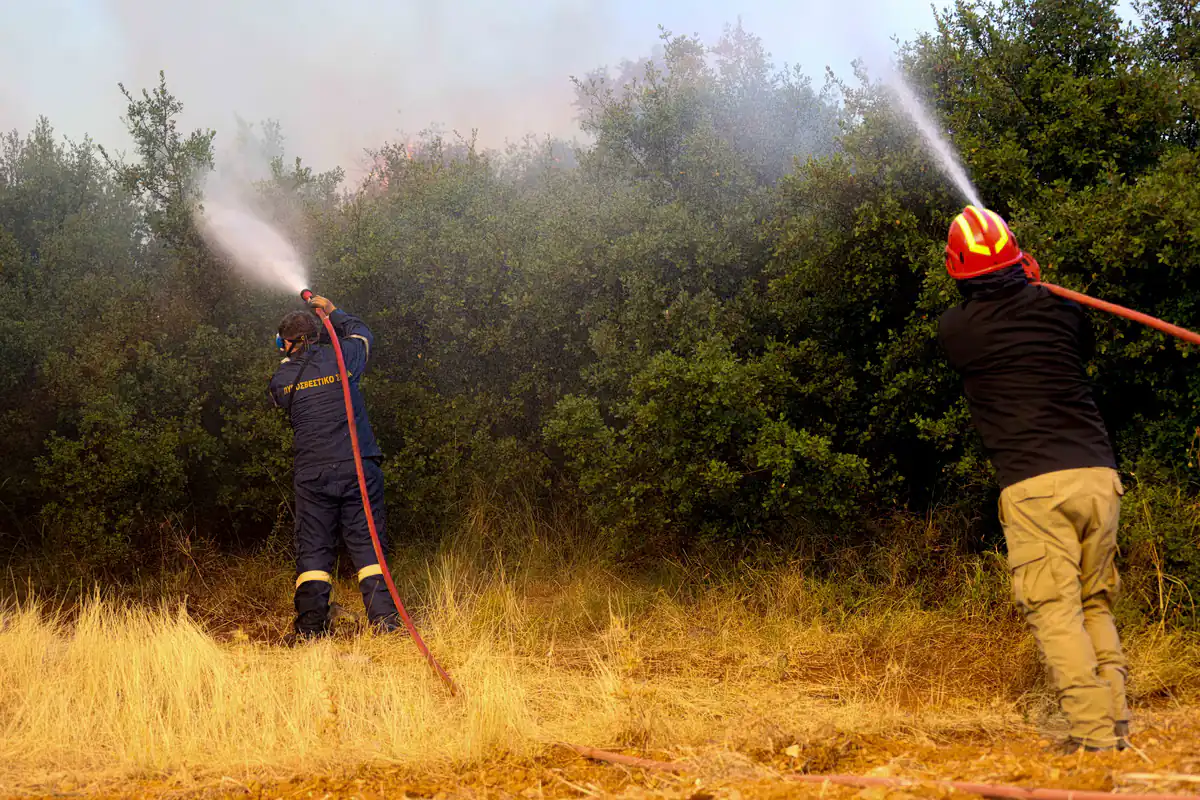 Zwei Festnahmen wegen Brandstiftung in Nafplio und Chalkida