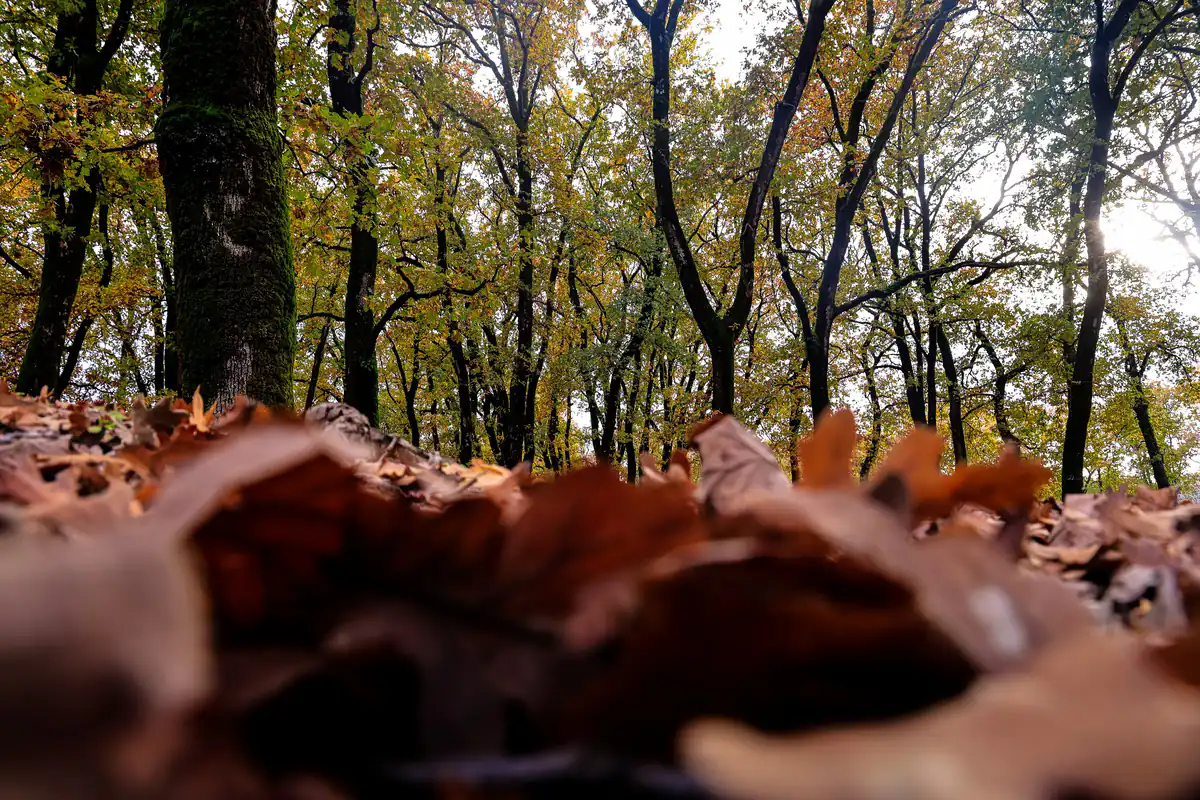 Kältewelle bringt tiefen Herbst nach Griechenland