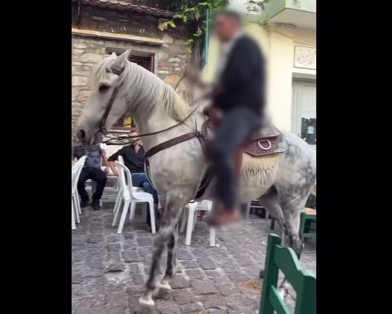 Kontroverse um Pferdevorführung auf zerbrochenem Glas bei Fest auf Mytilene
