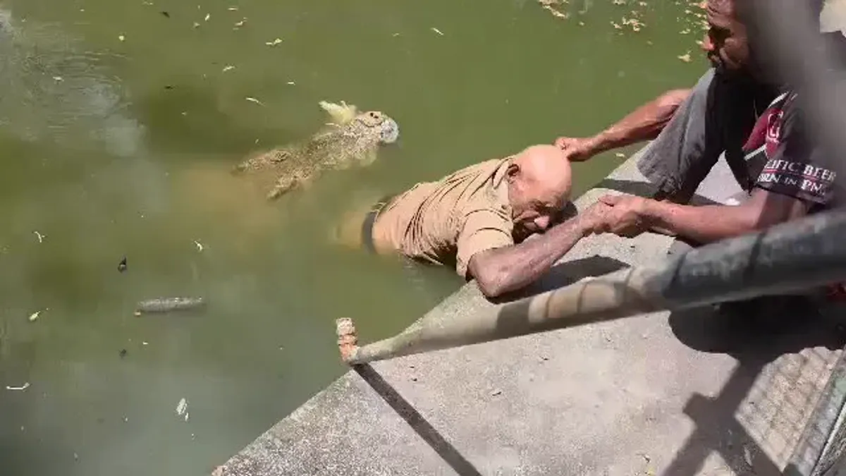 Krokodil tötet Mitarbeiter in Zoo in Papua-Neuguinea