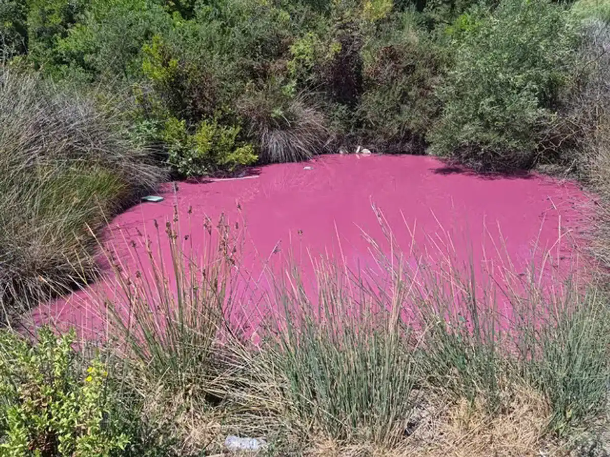 Rätselhafte Rosafärbung: Ein kleiner See in Igoumenitsa verfärbt sich pink