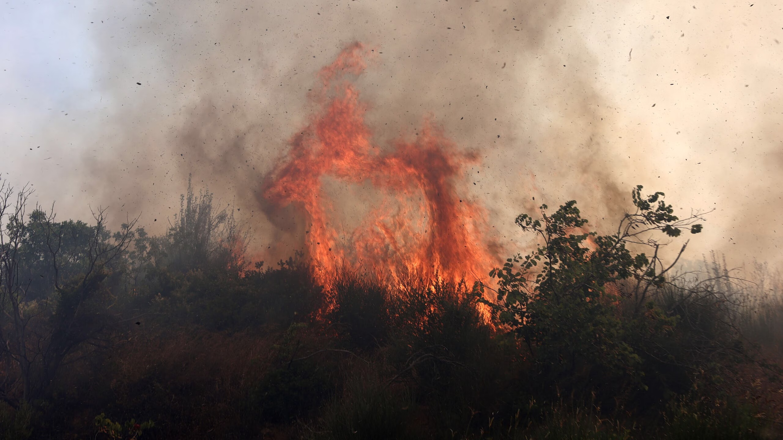 Schnelle Eindämmung eines Waldbrandes in Mandra, Attika