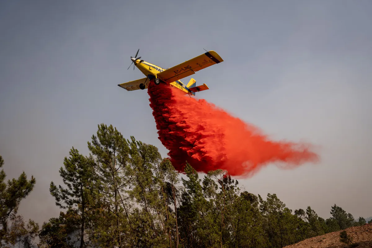 Spanien: Behörden sichern königliche Überreste vor Waldbrand