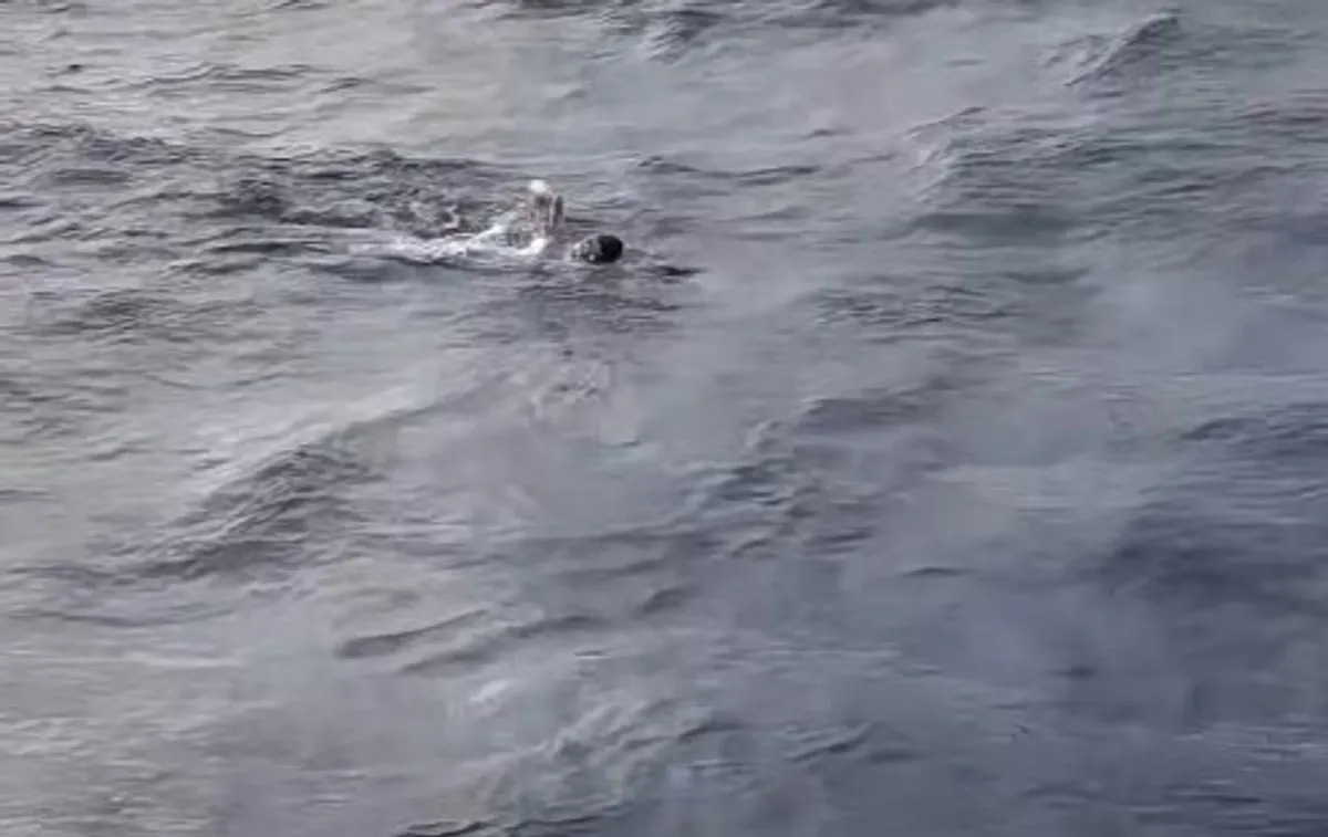 Spyros Chrysikopoulos schwimmt von Griechenland nach Italien