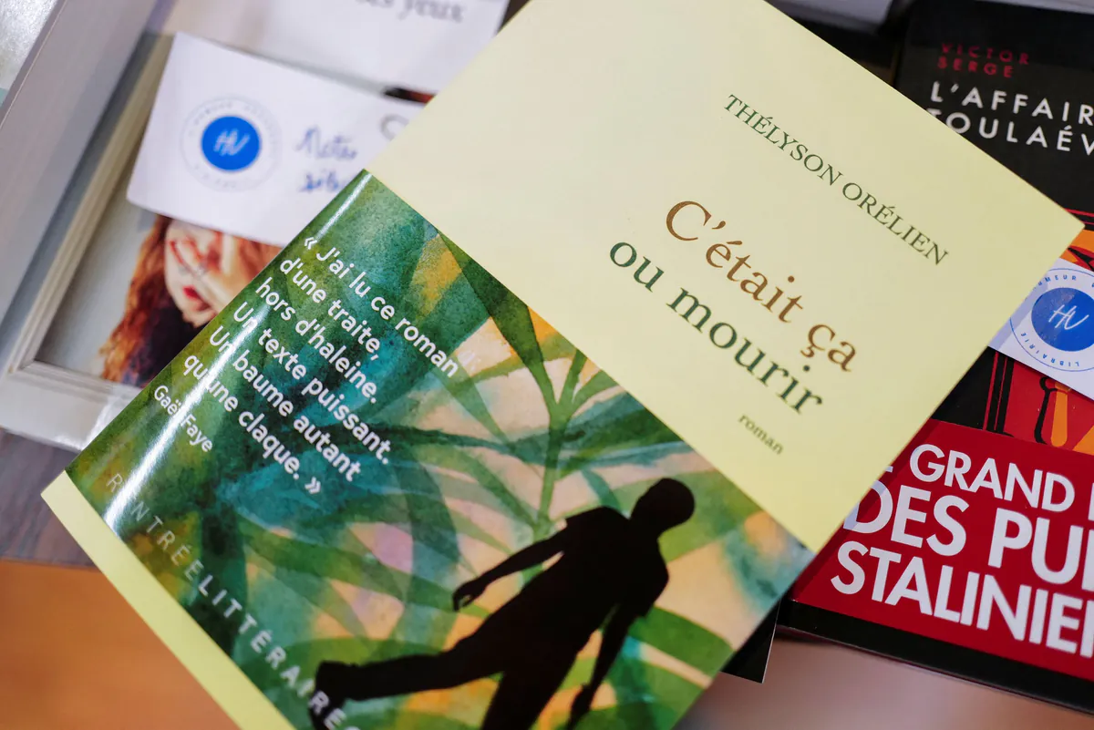 Thélisson Aurélien KI Kontroverse: Skandal im Literatursektor