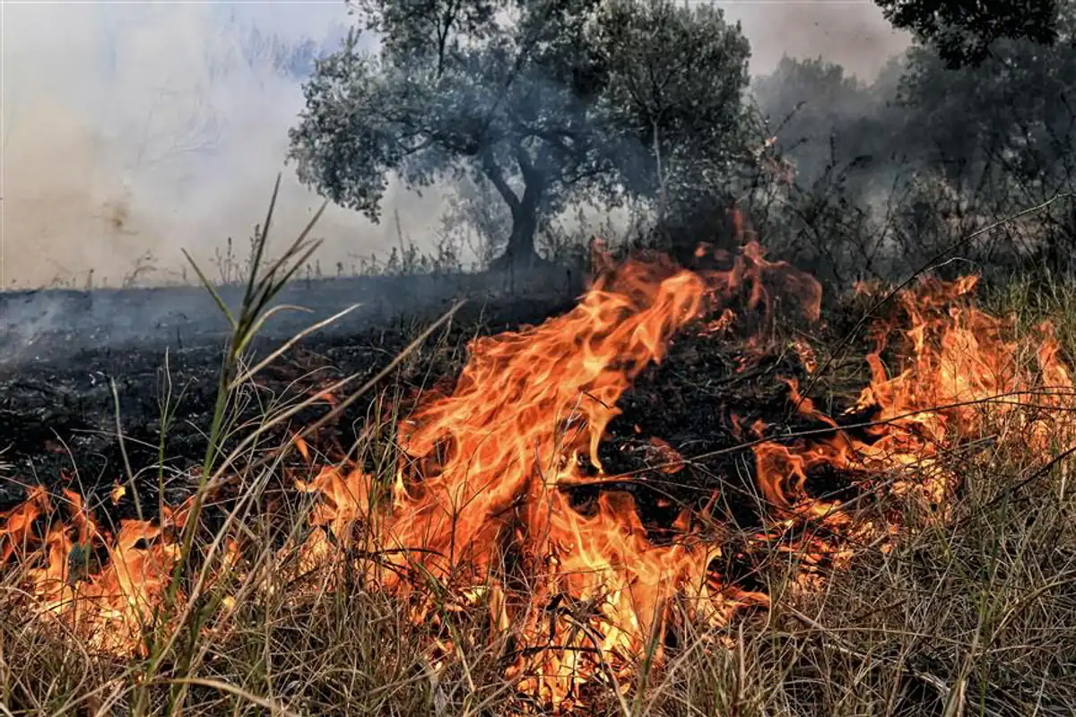 Umfangreicher Löscheinsatz bei Brand in Theben