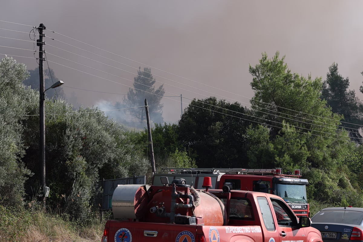 Umfassende Reaktion auf Waldbrand in Komara, Evros