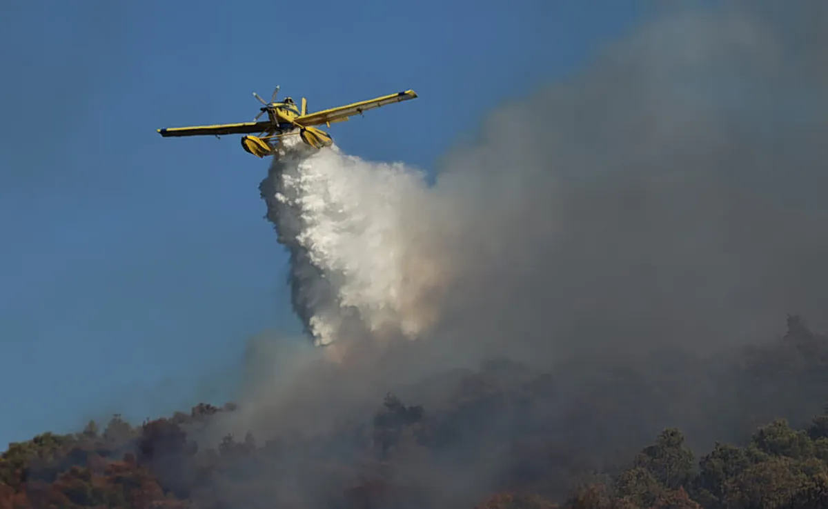 Waldbrand in Agios Antonios, Kilkis: Umfangreicher Einsatz zur Brandbekämpfung