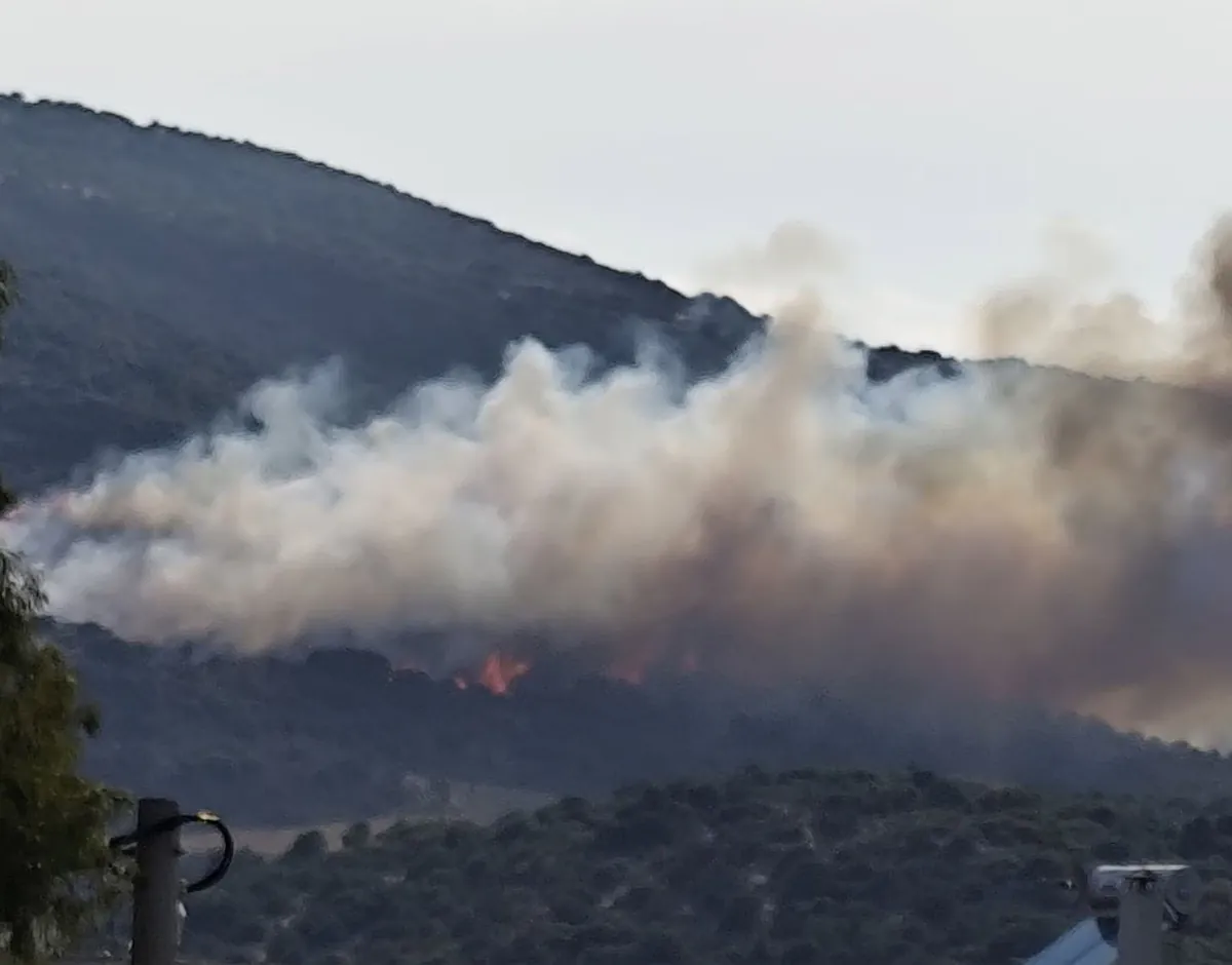 Waldbrand bei Aivalioti in Volos: Behörden rufen höchste Alarmstufe aus
