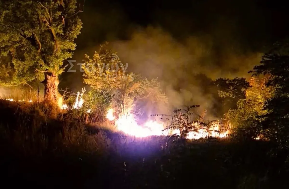 Waldbrand in Asprokklisia bei Kalambakas ausgebrochen