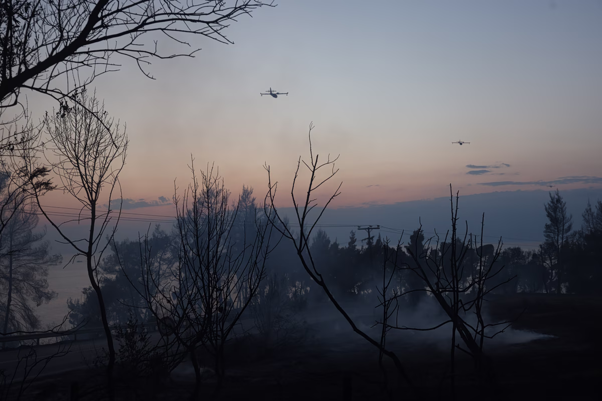 Waldbrand in Chalkidiki: Copernicus-Dienst schätzt 2.480 Hektar verbrannte Fläche in Siviri