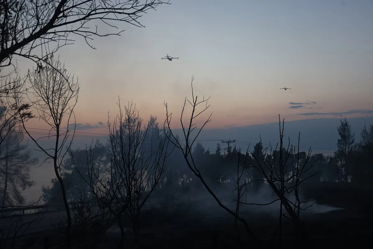 Waldbrand in Chalkidiki: Copernicus-Dienst schätzt 2.480 Hektar verbrannte Fläche in Siviri