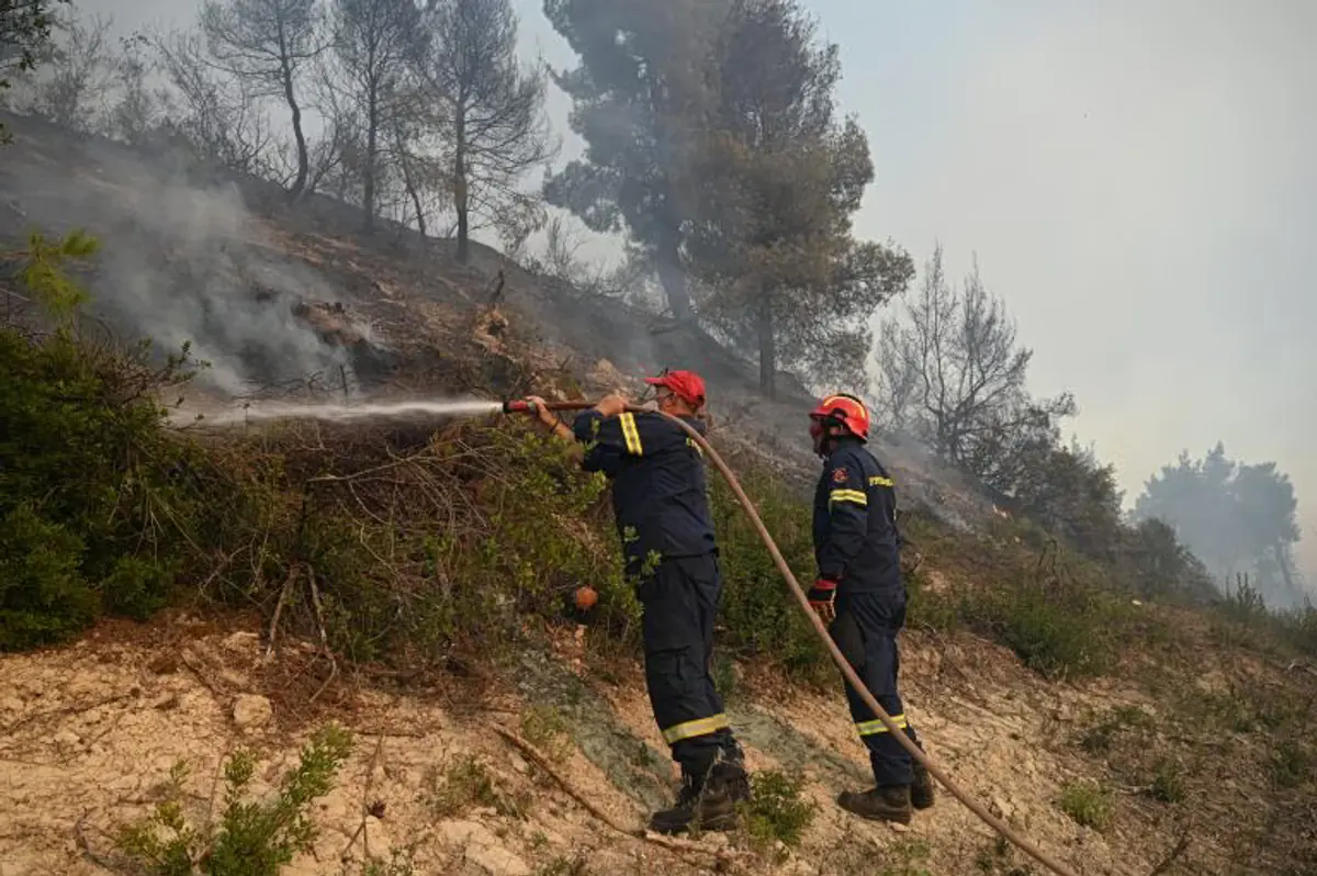 Waldbrand in Drosochori bei Trikala: Feuerwehr im Einsatz