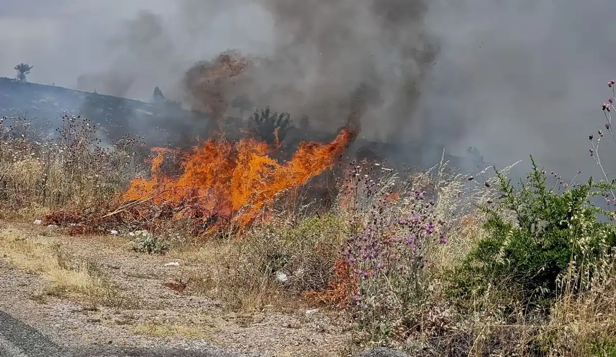 Waldbrand auf Kreta: Umfangreicher Einsatz bei Paranymfi