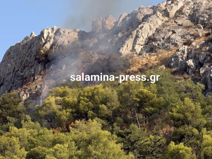 Waldbrand auf Salamina: Großaufgebot an Einsatzkräften und Luftunterstützung