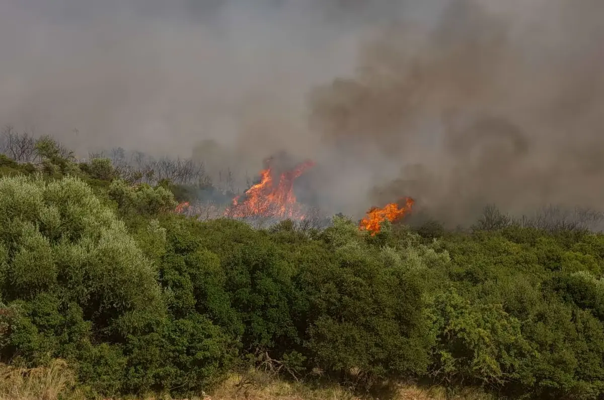 Hohes Waldbrandrisiko in zehn Regionen Griechenlands am 15. September 2026