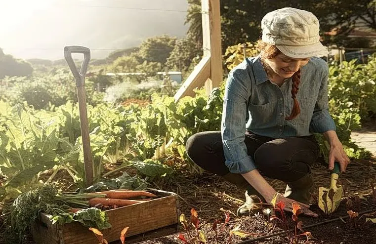 Landwirtschaftliche Flächen EU: Frauen verwalten 17,2 % (Eurostat)