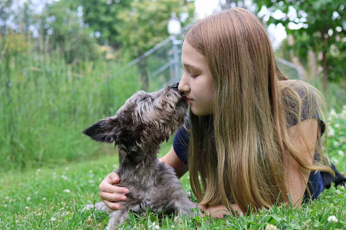 Warum lecken Hunde Menschen? Die biologischen Hintergründe