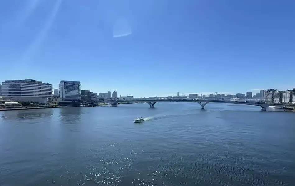Rekordregen in Tokio: 37 Tage ohne Sonne und Licht