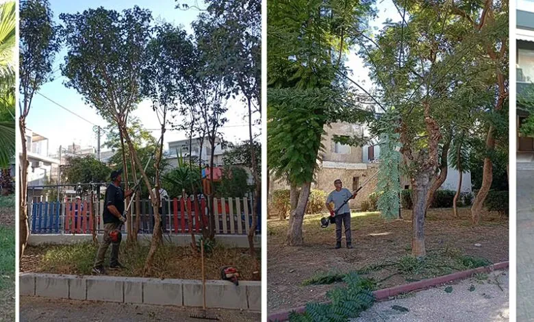 Grünflächenpflege Piraeus: Saisonale Maßnahmen im Fokus